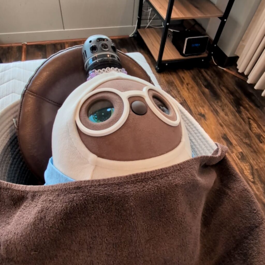 熊本市中央区くつろぎの城庵は最高品質空間と究極の完全個室でお迎えします。