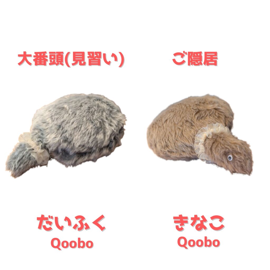 熊本市中央区「くつろぎの城 庵」大番頭見習いだいふくとご隠居きなこの画像