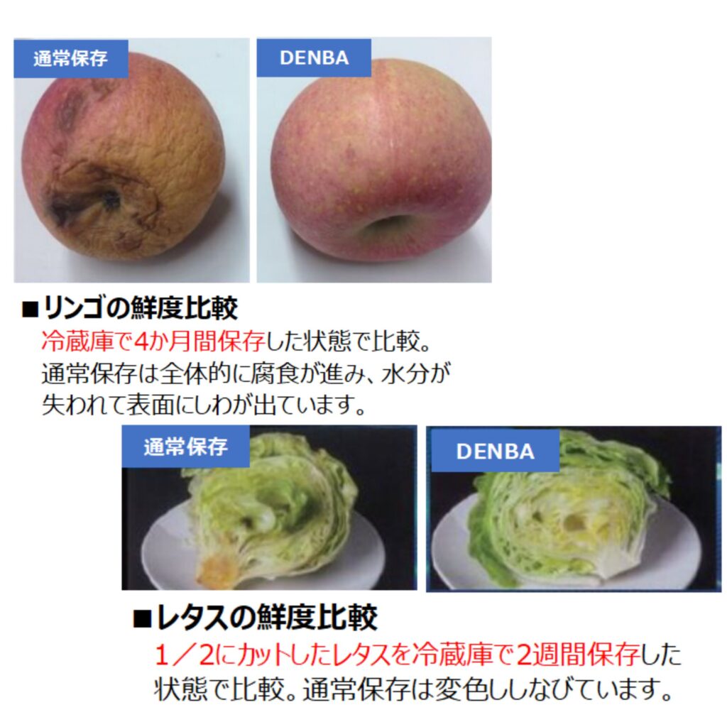 DENBA Healthを使った「りんご」と「レタス」の鮮度維持実験結果